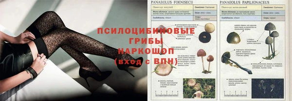 кристаллы Абаза