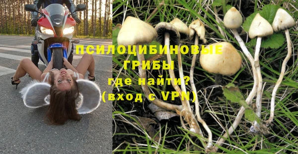 apvp Абинск