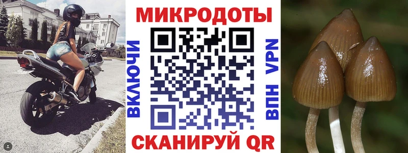 Псилоцибиновые грибы прущие грибы  Красноперекопск 