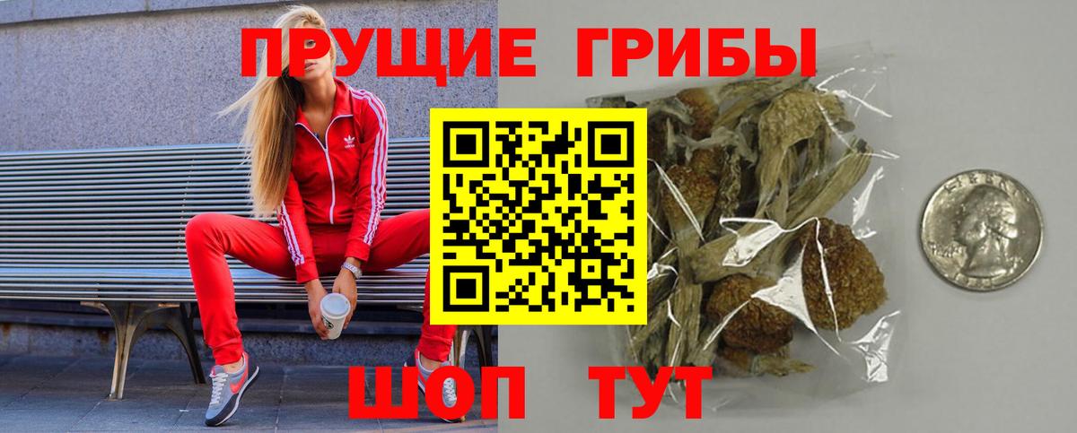 Псилоцибиновые грибы Cubensis Красноперекопск