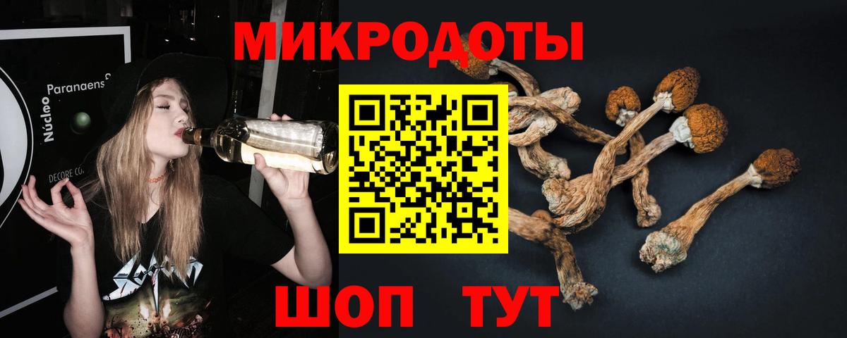 Красноперекопск  Псилоцибиновые грибы GOLDEN TEACHER  Вход с VPN 