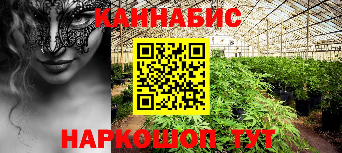 Бошки марихуана White Widow  Бошки Шишки Bruce Banner  Красноперекопск  Бошки Шишки индика  Вход с VPN  МАРИХУАНА марихуана 
